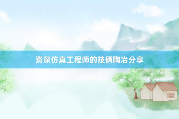 资深仿真工程师的技俩陶冶分享